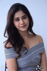 Nabha Natesh New Photos